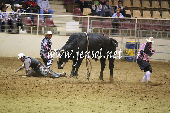 RDAug2013_0284