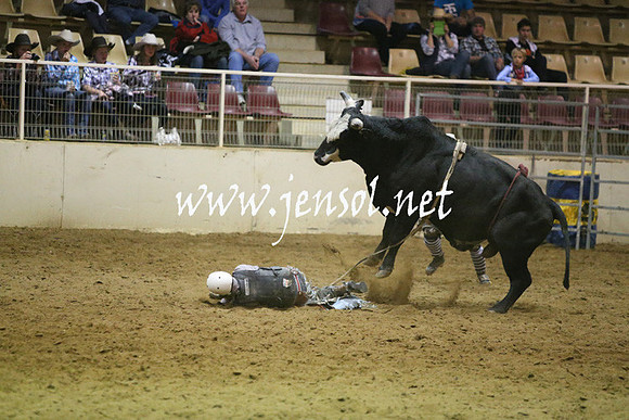 RDAug2013_0282