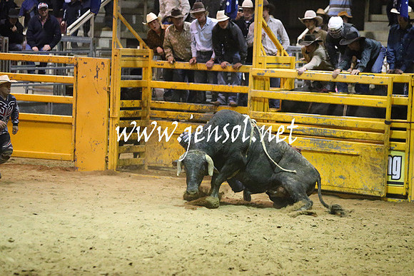 RDAug2013_0851