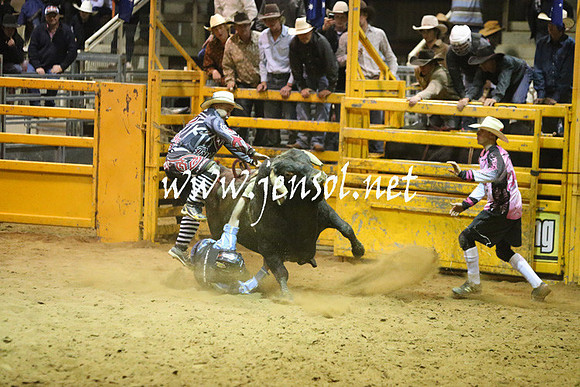 RDAug2013_0853