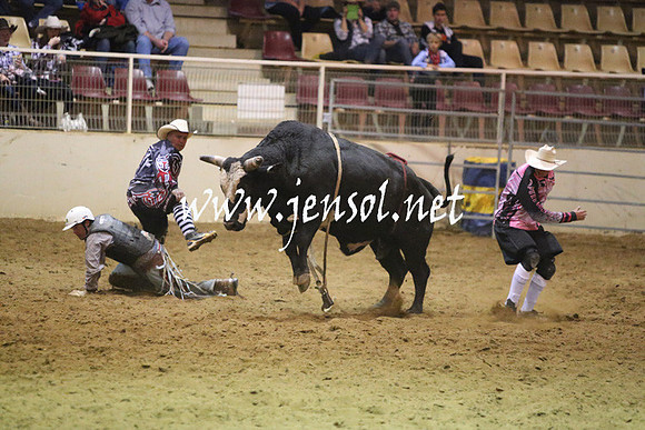 RDAug2013_0283