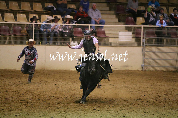 RDAug2013_0289