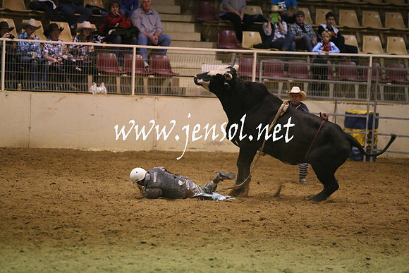 RDAug2013_0281