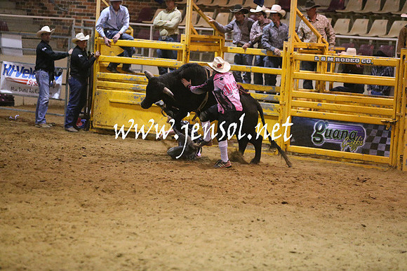 RDAug2013_0294