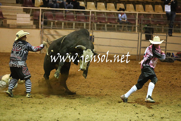 RDAug2013_0333