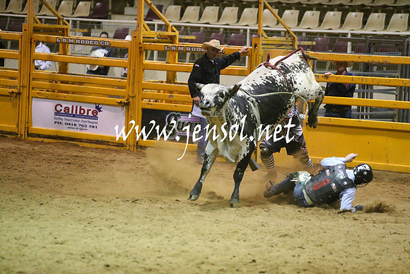 RDAug2013_0345