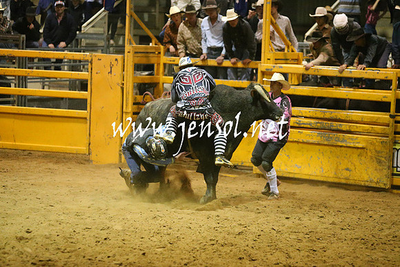 RDAug2013_0855