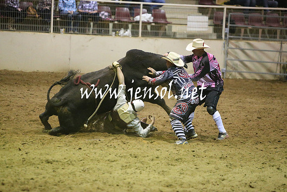 RDAug2013_0330