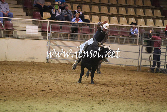 RDAug2013_0279