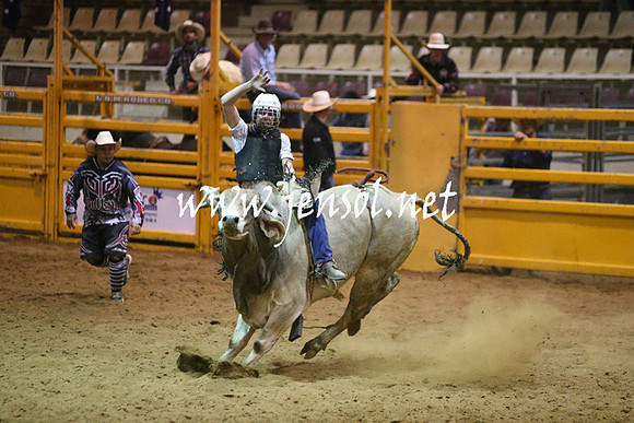 RDAug2013_0299