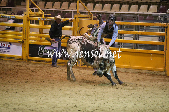 RDAug2013_0343
