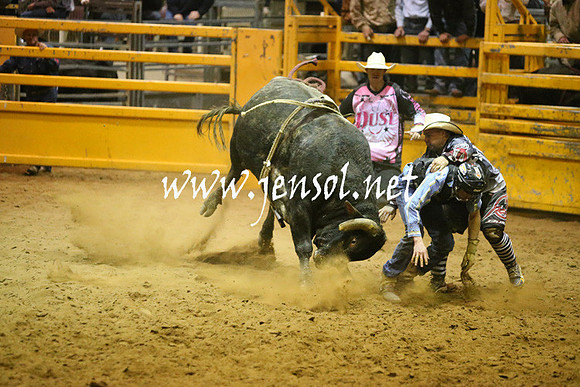 RDAug2013_0861