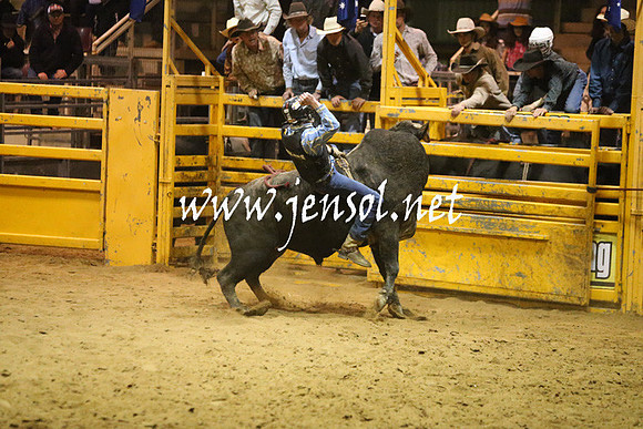 RDAug2013_0847
