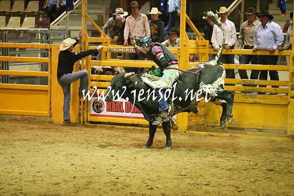 RDAug2013_0263