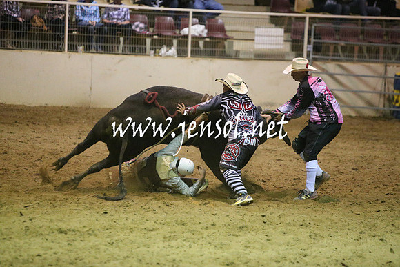 RDAug2013_0332