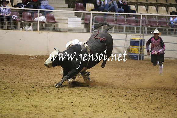 RDAug2013_0321