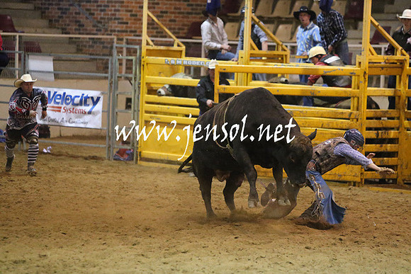 RDAug2013_0220