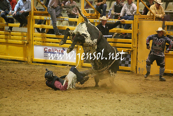 RDAug2013_0268