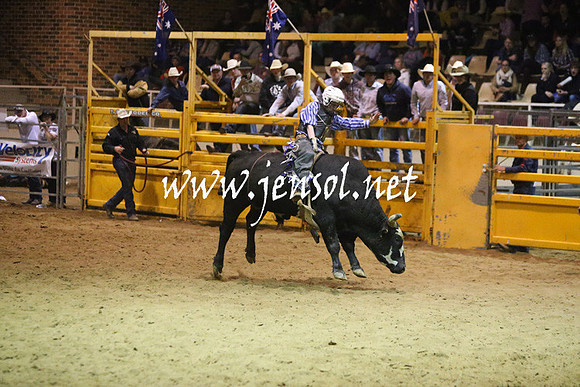 RDAug2013_0991