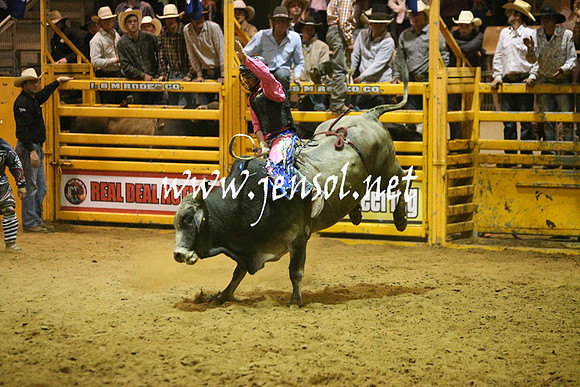 RDAug2013_0957