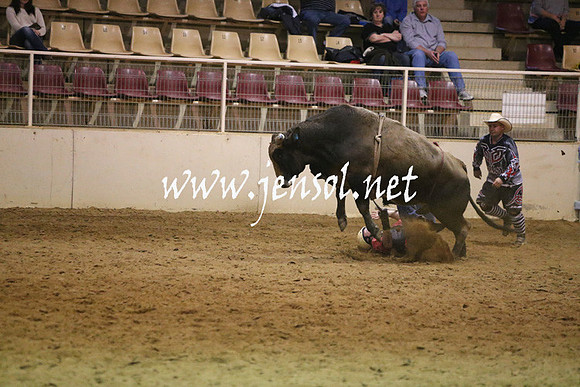 RDAug2013_0224