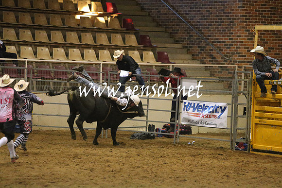 RDAug2013_0248