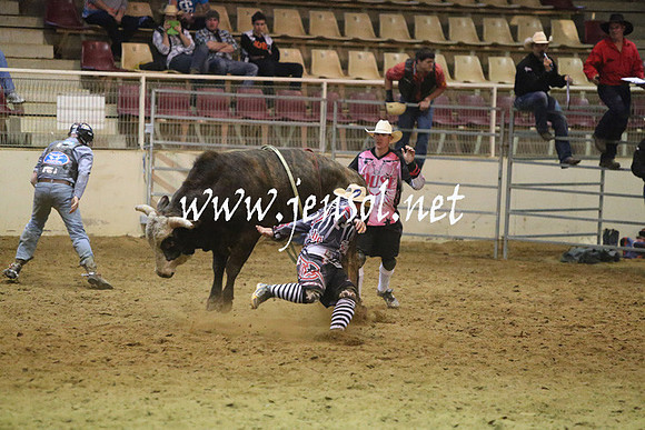 RDAug2013_0232