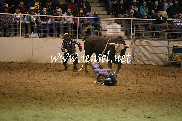 RDAug2013_0929