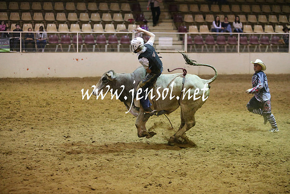 RDAug2013_0305