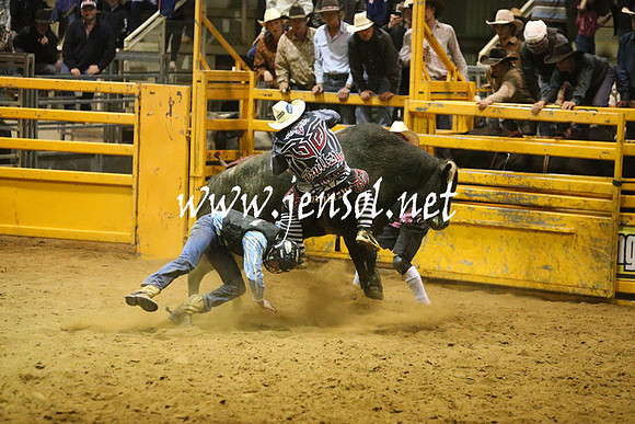 RDAug2013_0857