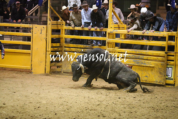 RDAug2013_0850