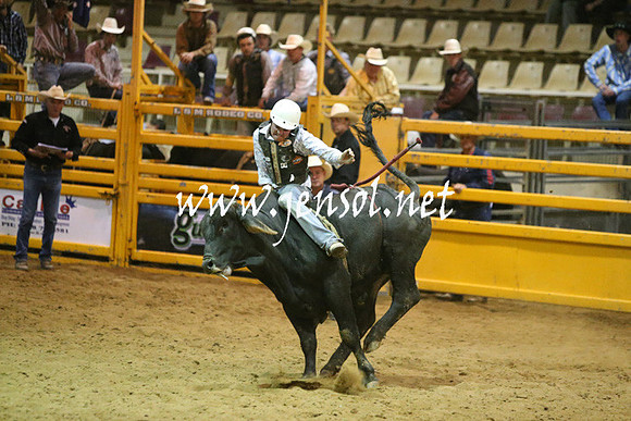 RDAug2013_0239