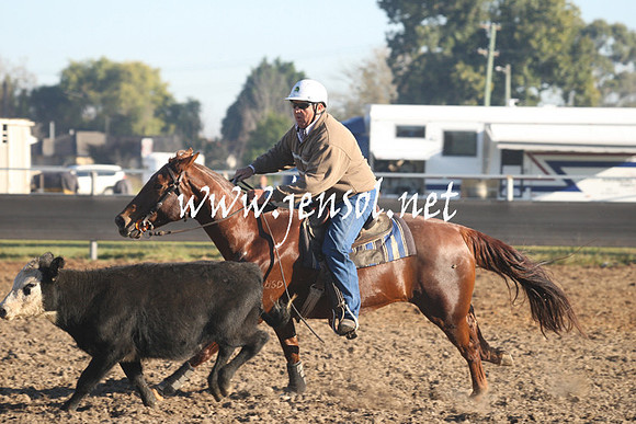 MossValeCampdraft2013_0128