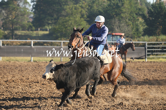 MossValeCampdraft2013_0138