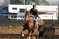 MossValeCampdraft2013_0065