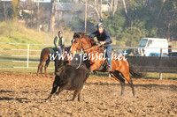 MossValeCampdraft2013_0037