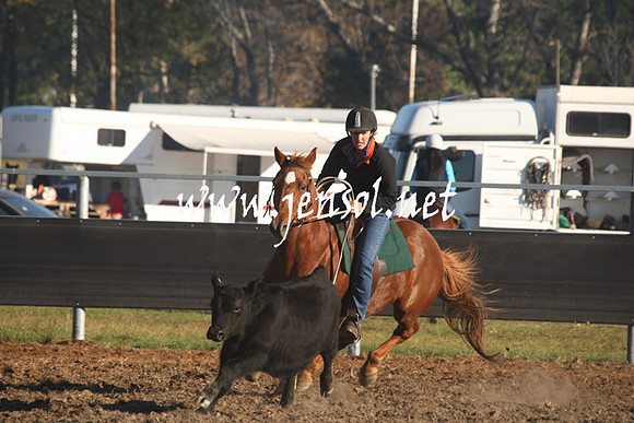 MossValeCampdraft2013_0126