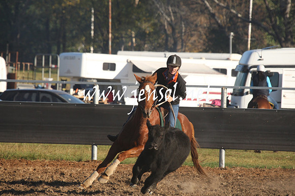 MossValeCampdraft2013_0125