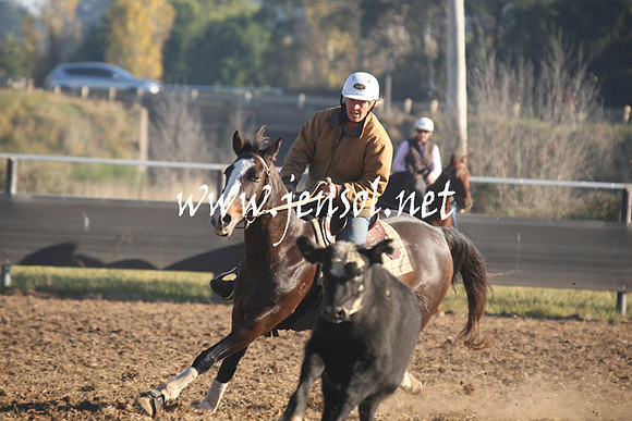 MossValeCampdraft2013_0187