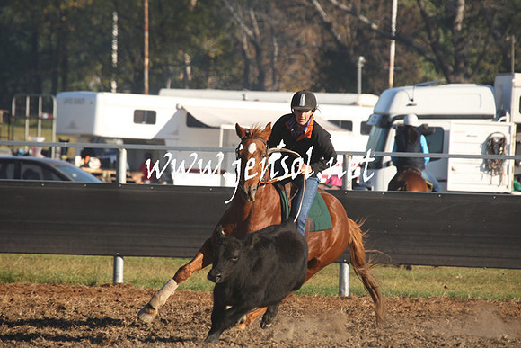 MossValeCampdraft2013_0124
