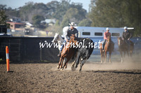 Novice Part Two