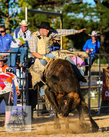 BraidwoodRodeo2015_5070