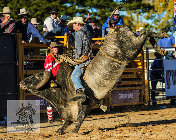 BraidwoodRodeo2015_4973