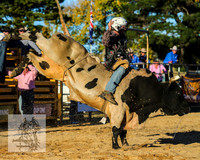 BraidwoodRodeo2015_5042
