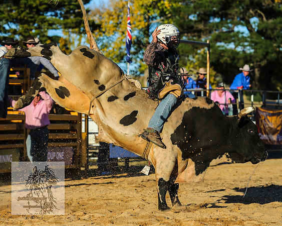 BraidwoodRodeo2015_5042