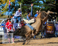BraidwoodRodeo2015_3898