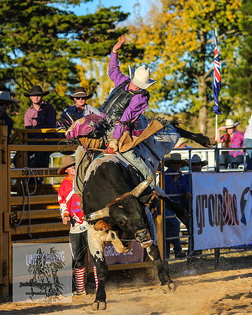 BraidwoodRodeo2015_5196