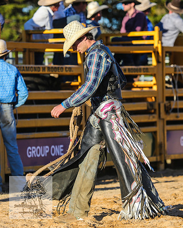 BraidwoodRodeo2015_4962