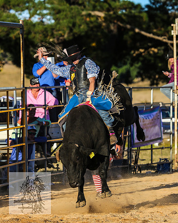 BraidwoodRodeo2015_5106