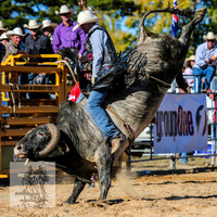 BraidwoodRodeo2015_3997